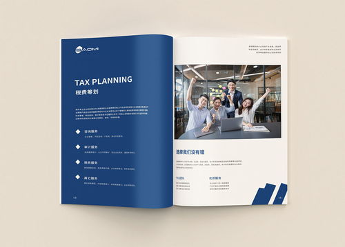 專業(yè)財務(wù)公司畫冊與代理做賬宣傳冊設(shè)計 視覺溝通的藝術(shù)